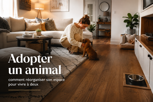 Adopter un animal : comment réorganiser son espace pour vivre à deux