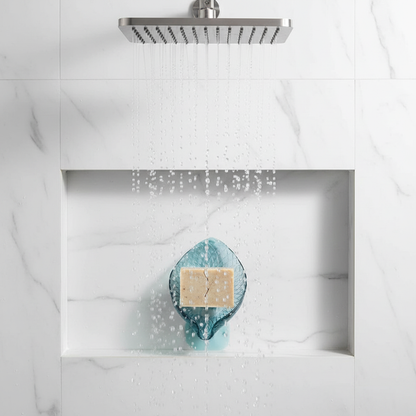 Luxury shower niche